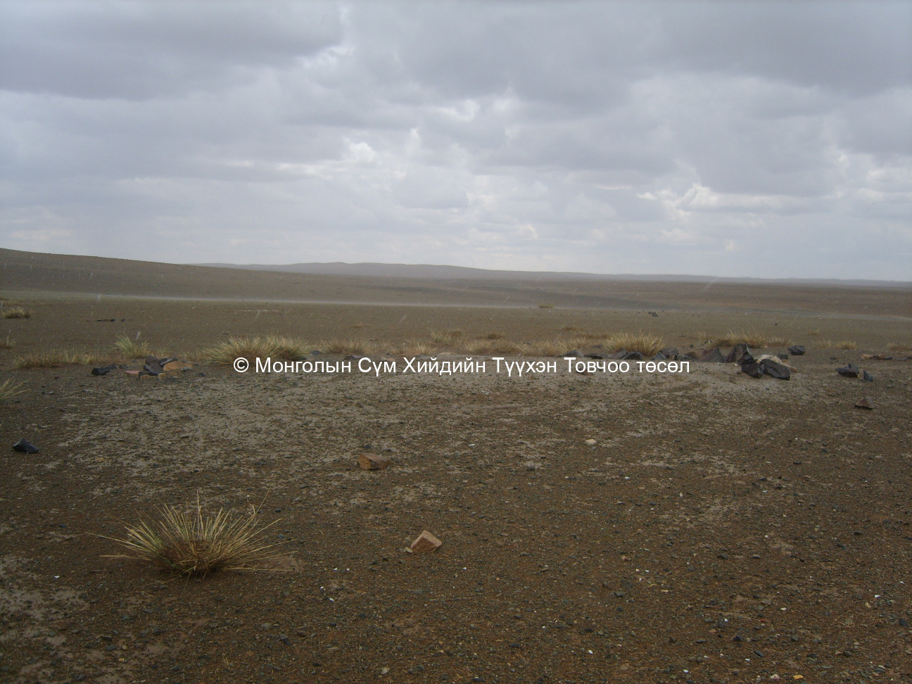 Хойд талаас авсан 